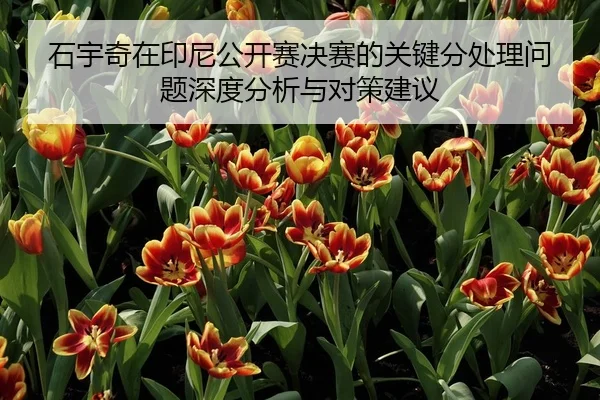 石宇奇在印尼公开赛决赛的关键分处理问题深度分析与对策建议